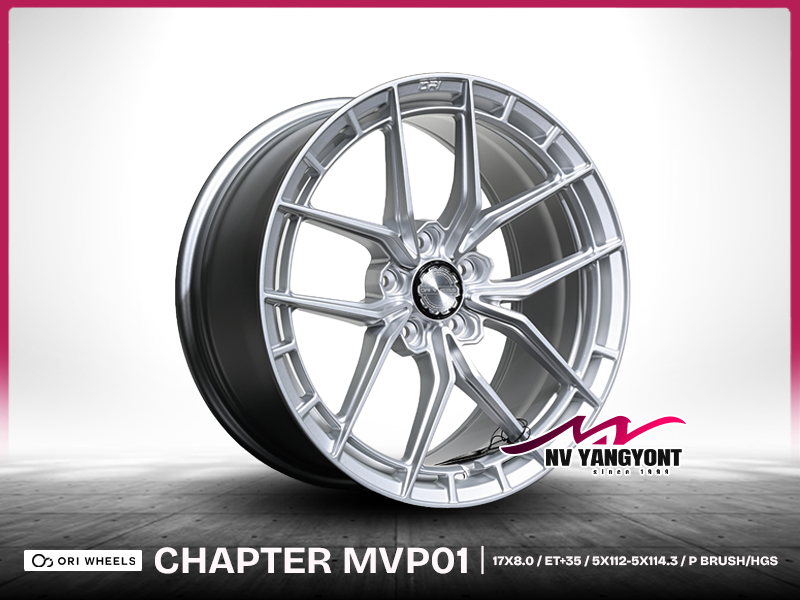 CHAPTER MVP-01 | สี P-BRUSH-HGS